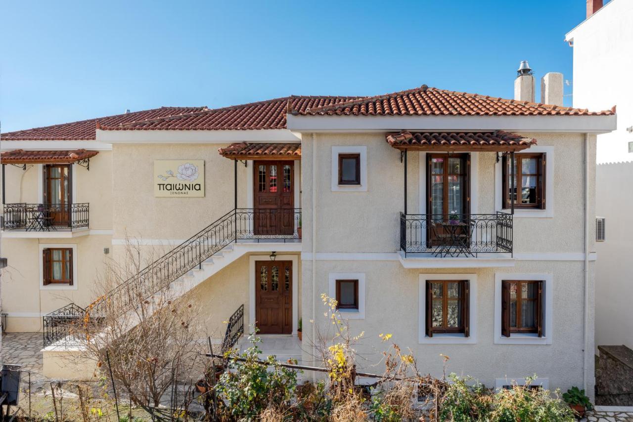 Paeonia Arachova Hotel Luaran gambar